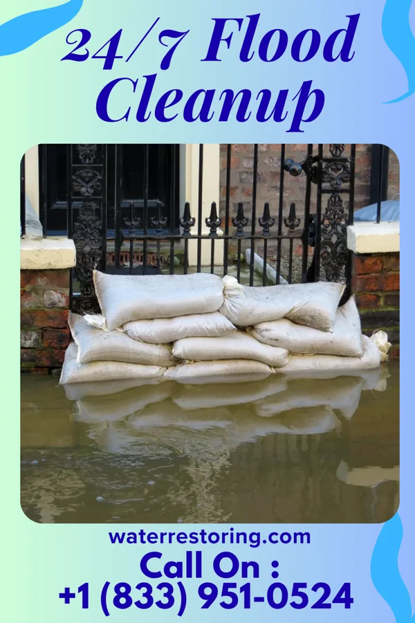 24/7 Flood Cleanup in Taylorsville, MS