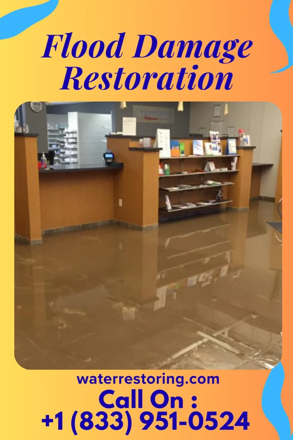 Flood Damage Restoration in Taylorsville, MS