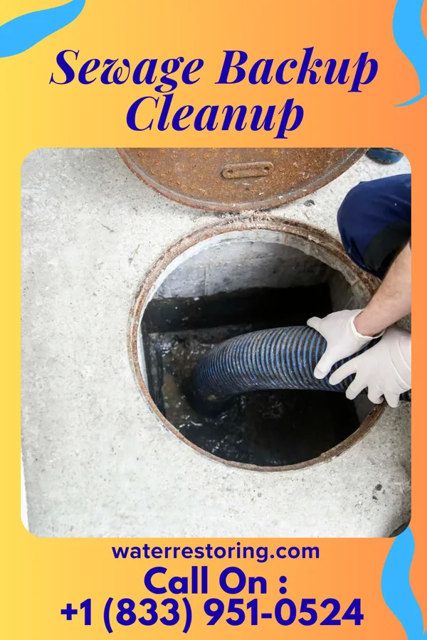 Sewage Backup Cleanup in Taylorsville, MS